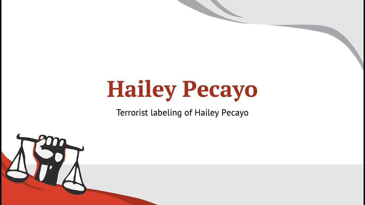 Hailey Pecayo, Testimony on terrorist labeling