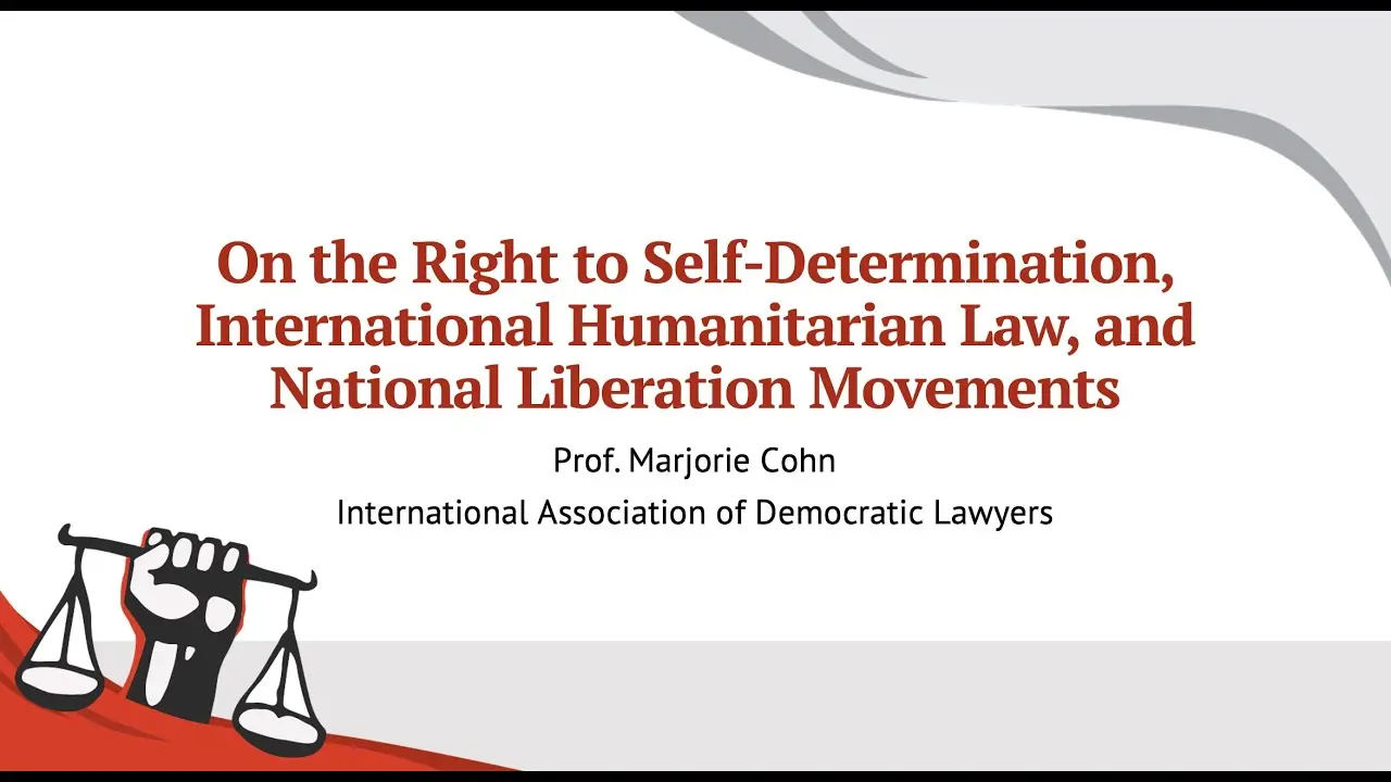 Marjorie Cohn, Expert Witness on the Right to Self-Determination, IHL, & NLMs